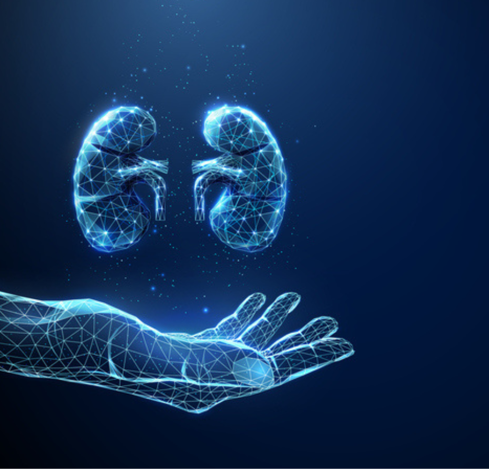 Diagnóstico Diferencial da Rejeição Renal Aguda